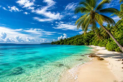 Andaman tour package rajkot